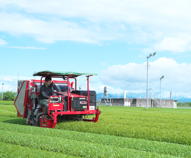 現状 内田刃物工業 可搬型茶摘機 HP-6 茶園 103型 ジャンクバリカン