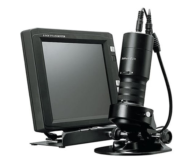 Images in detailed pictures