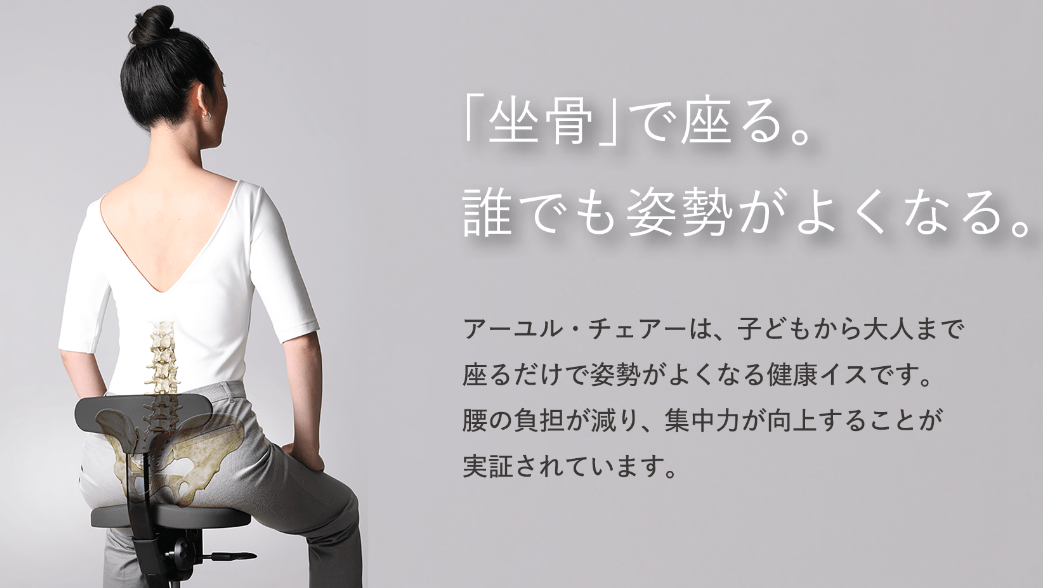 極美品】アーユルチェア プレミアムモデル 01 専用カバー付き 最高級